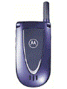Best available price of Motorola V66i in Malaysia